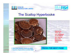 The Scallop Hyperbook ® PRESS FOR NEXT PAGE 1
