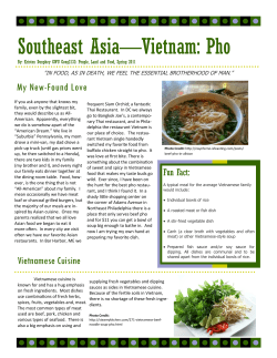 Southeast Asia—Vietnam: Pho My New-Found Love