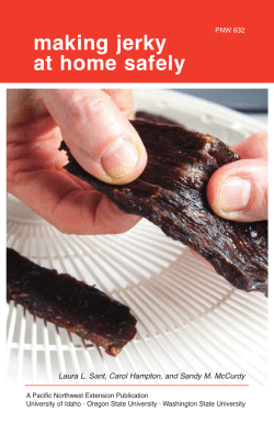 making jerky at home safely