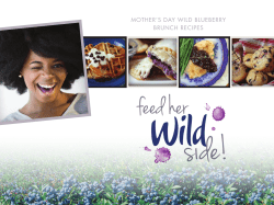 Mother’s Day WilD BlueBerry Brunch recipes