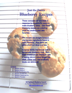 Blueberry Recipes  Just the Basics