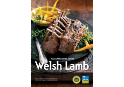 Welsh Lamb AUTUMN WAYS WITH eatwelshlamb.com
