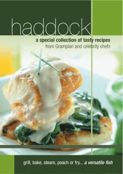 haddock a special collection of tasty recipes from Grampian and celebrity chefs