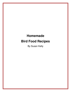 Homemade Bird Food Recipes By Susan Kelly
