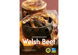 Welsh Beef AUTUMN WAYS WITH eatwelshbeef.com