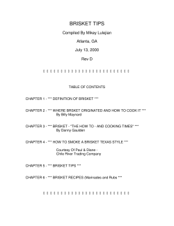 BRISKET TIPS Compiled By Mikey Lulejian Atlanta, GA July 13, 2000