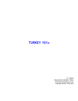 TURKEY 101 ® 11/1/2010