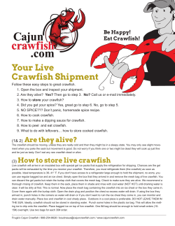 Your Live Crawfish Shipment Be Happy! Eat Crawfish!