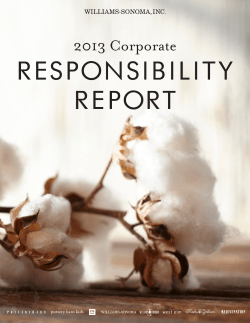 RESPONSIBILITY REPORT 2013 Corporate