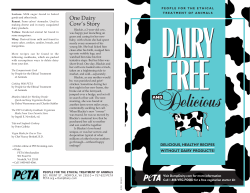 One Dairy Cow’s Story