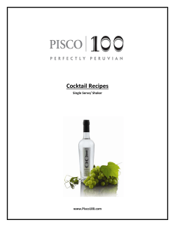 Cocktail Recipes  Single Serve/ Shaker www.Pisco100.com