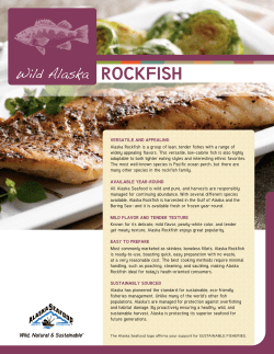 rockfish Wild Alaska