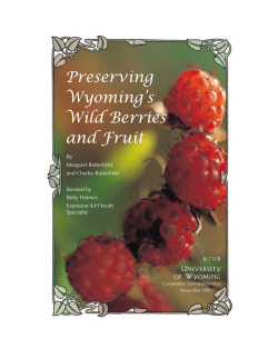 Preserving Wyoming’s Wild Berries and Fruit