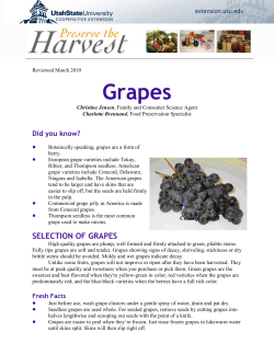 Grapes Did you know?