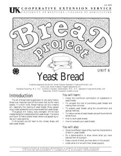 Yeast Bread UNIT 6