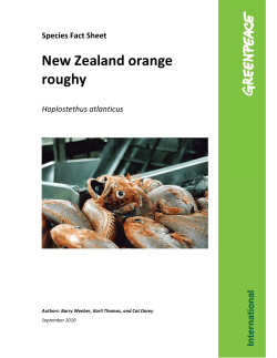 New Zealand orange roughy Species Fact Sheet