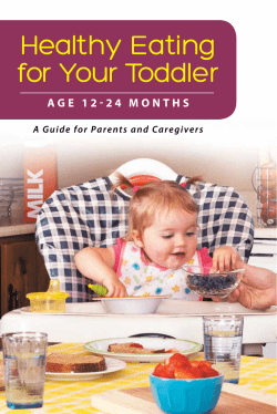 Healthy Eating for Your Toddler