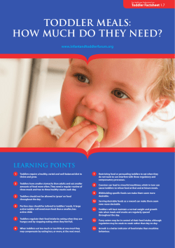 Toddler meals: how much do They need? learnInG PoInTs Toddler Factsheet