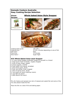 Kamado Cookers Australia Easy Cooking Recipe Selection  Whole baked Asian Style Snapper