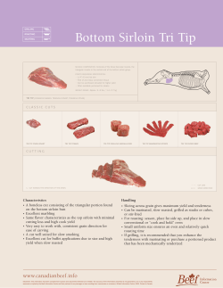 Bottom Sirloin Tri Tip