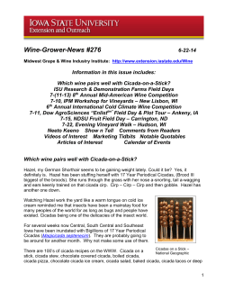 Wine-Grower-News #276