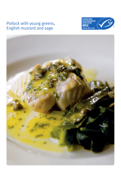 Pollock with young greens, English mustard and sage LOOK FOR THE MARK