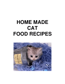 HOME MADE CAT FOOD RECIPES