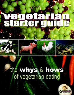 vegetarian starter guide the &amp;