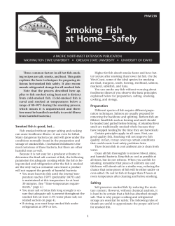 Smoking Fish at Home—Safely