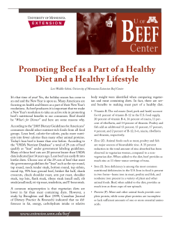 Promoting Beef as a Part of a Healthy