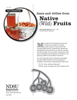 M Native Fruits Jams and Jellies from