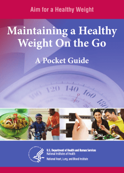 Maintaining a Healthy Weight On the Go A Pocket Guide