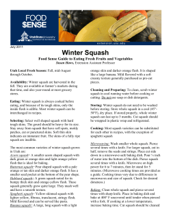 Winter Squash Food $ense Guide to Eating Fresh Fruits and Vegetables