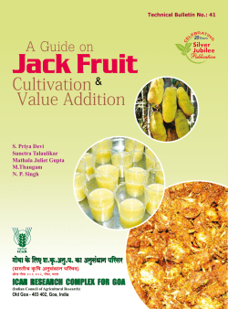 Jack Fruit A Guide on Cultivation Value Addition