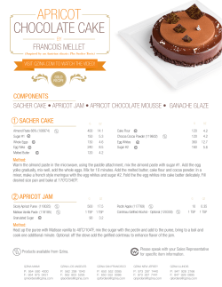 APRICOT CHOCOLATE CAKE FRANCOIS MELLET COMPONENTS
