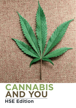 CANNABIS  AND YOU HSE Edition