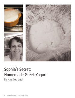 Sophia’s Secret: Homemade Greek Yogurt By Naz Sioshansi