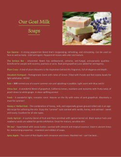 Our Goat Milk Soaps