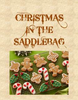 CHRISTMAS IN THE SADDLEBAG