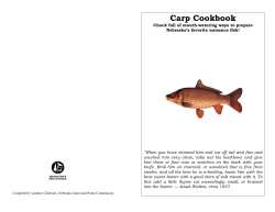 Carp Cookbook