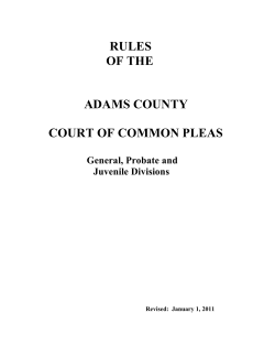 RULES OF THE  ADAMS COUNTY