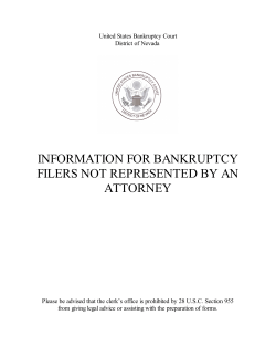 INFORMATION FOR BANKRUPTCY FILERS NOT REPRESENTED BY AN ATTORNEY