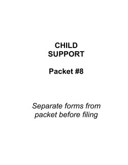 CHILD SUPPORT Packet #8