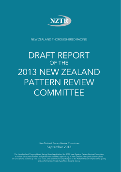 DRAFT REpORT 2013 NEW ZEALAND pATTERN REvIEW COmmITTEE