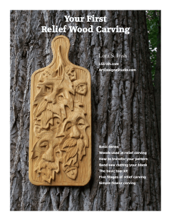 Your First Relief Wood Carving Lora S. Irish
