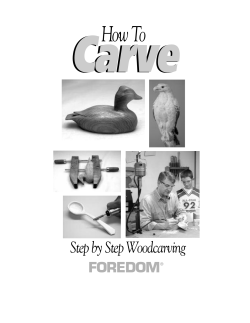 Carve How To Step by Step Woodcarving FOREDOM