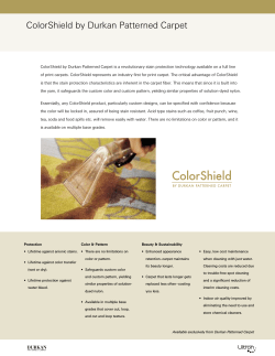 ColorShield by Durkan Patterned Carpet