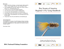 1.  Learn  to  Fly  Fish ... Robert J. Sousa, Ragged Mountain Press / McGraw-Hill, 2007 Resources: