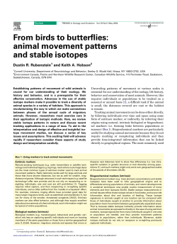 From birds to butterflies: animal movement patterns and stable isotopes Dustin R. Rubenstein