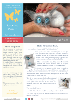 Crochet Pattern Cat Siam